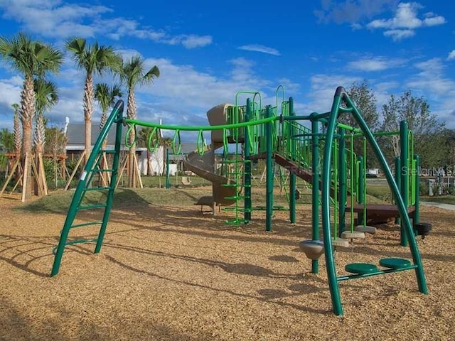 view of jungle gym