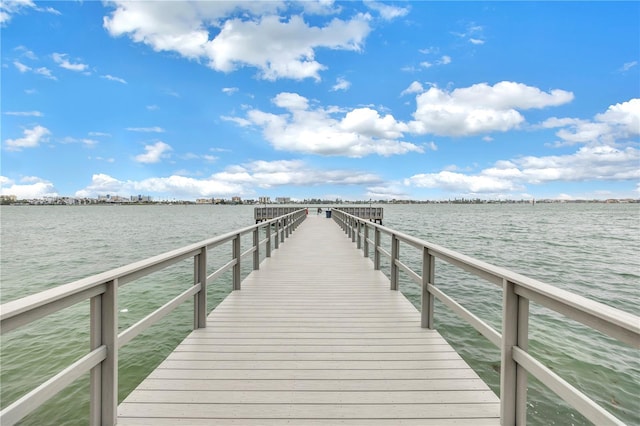 dock area with a water view