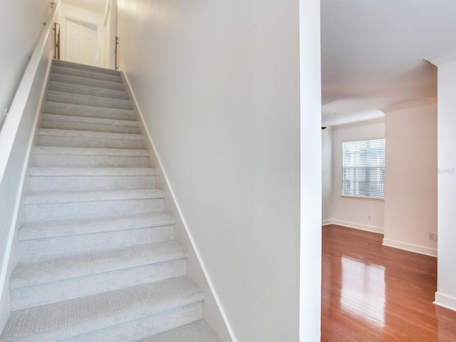 staircase with hardwood / wood-style floors