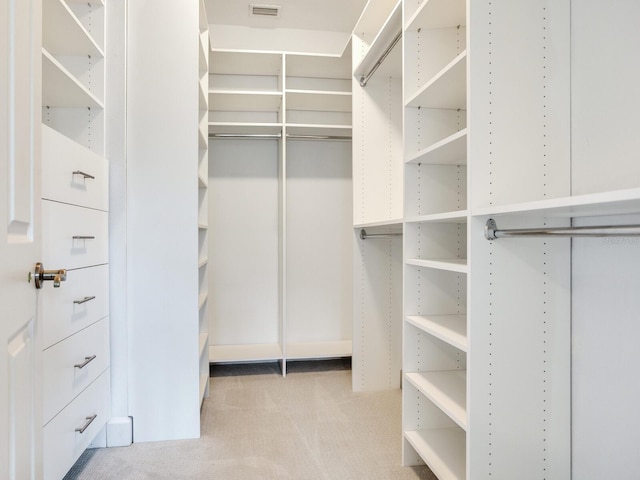 spacious closet with light colored carpet