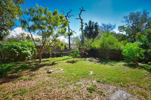 view of yard featuring a fenced backyard