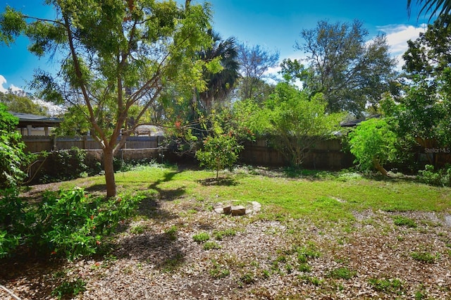 view of yard featuring a fenced backyard