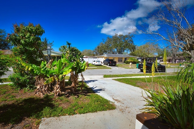 view of yard with gravel driveway and a residential view