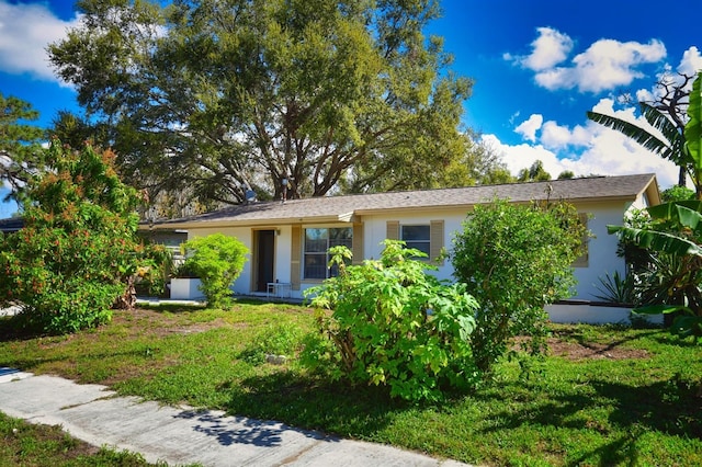 9567 85th St, Seminole, FL 33777 - view of front of property featuring stucco siding and a front lawn