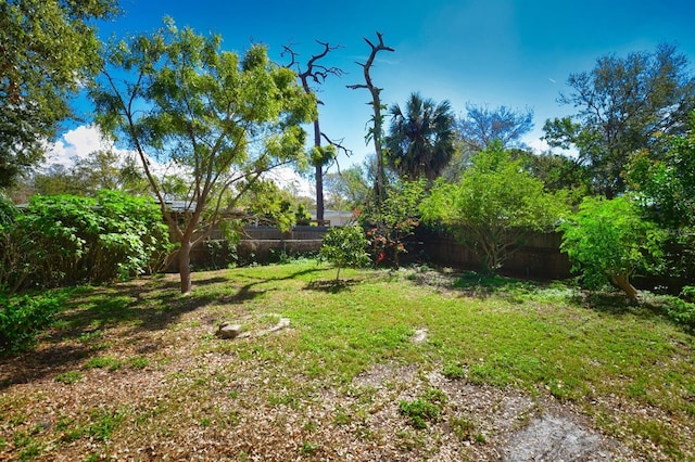 9567 85th St, Seminole, FL 33777 - view of yard