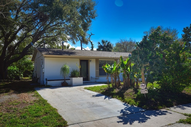 9567 85th St, Seminole, FL 33777 - view of front of property with stucco siding and concrete driveway