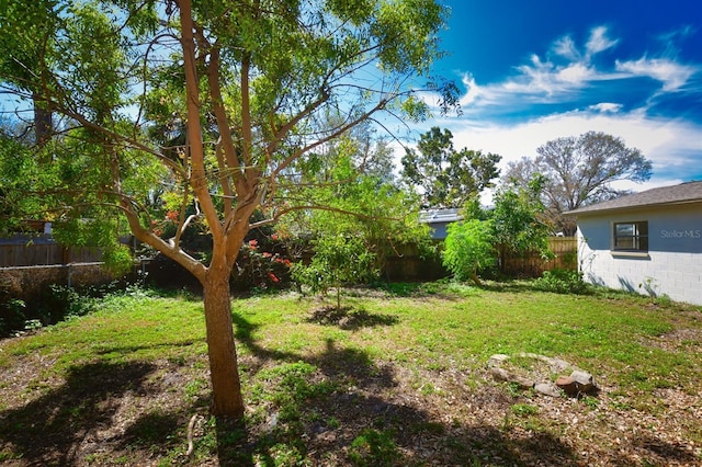 9567 85th St, Seminole, FL 33777 - view of yard