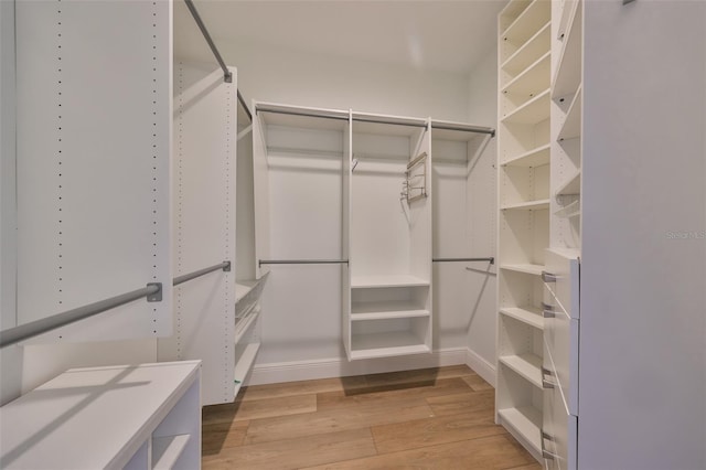 walk in closet featuring light hardwood / wood-style flooring