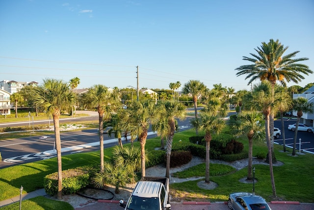 view of community featuring a yard