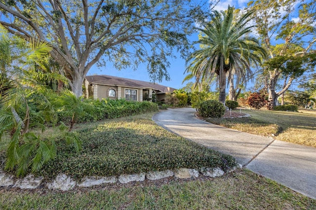 view of front of home featuring a front yard