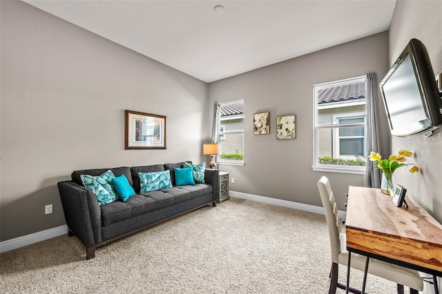 living room with carpet floors