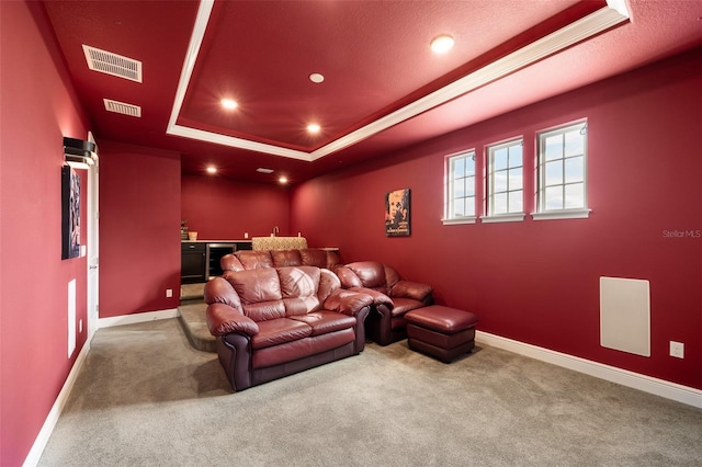 cinema room featuring carpet floors and a tray ceiling