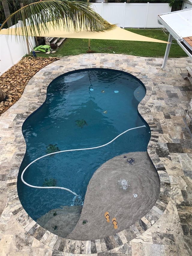 view of pool featuring a patio area