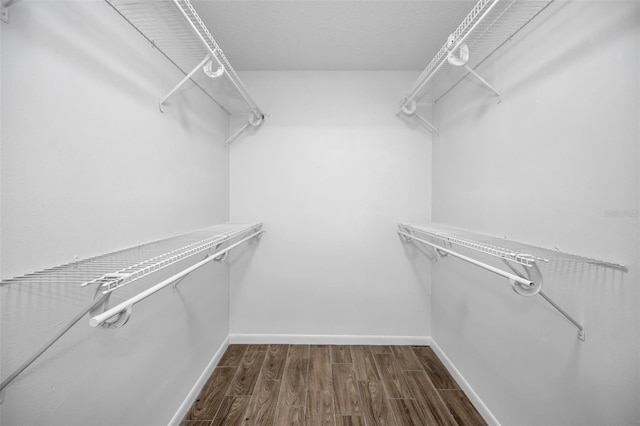 walk in closet with wood-type flooring