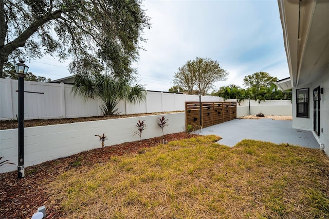 view of yard featuring a patio area