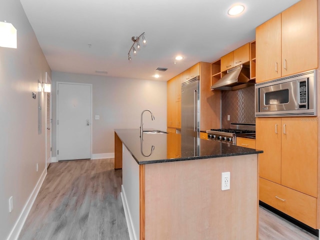 kitchen with light wood-type flooring, built in appliances, a kitchen island with sink, and sink