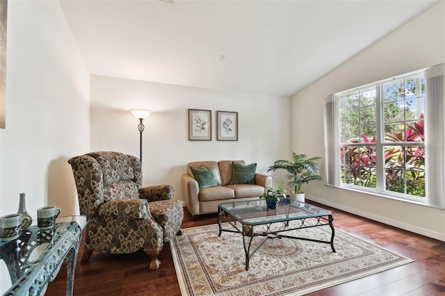 living room with lofted ceiling and hardwood / wood-style floors