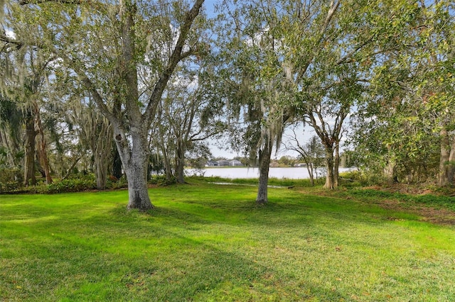 view of yard with a water view