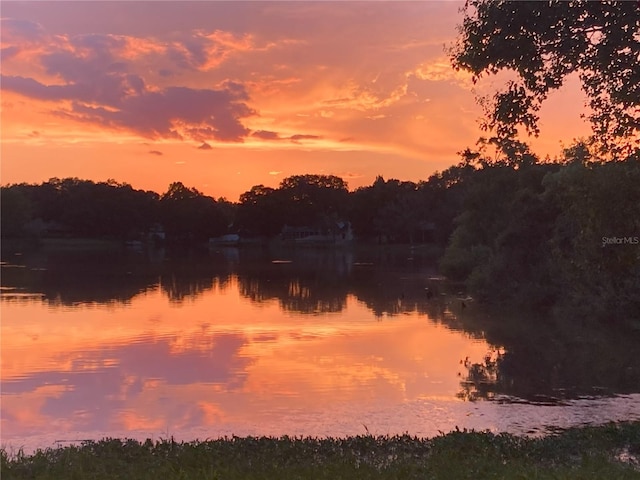 property view of water