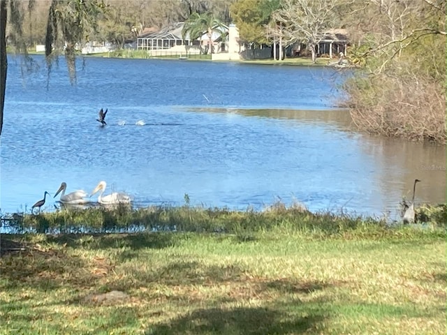 water view