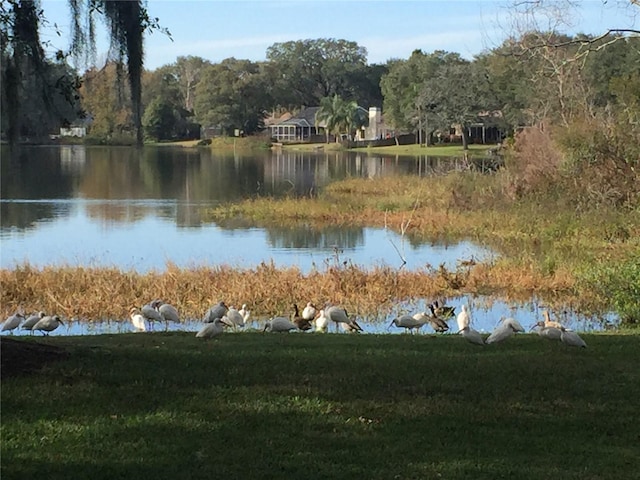 water view