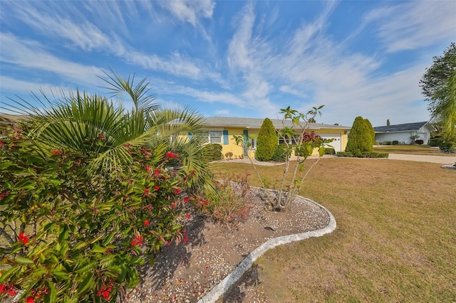 ranch-style home with a front lawn