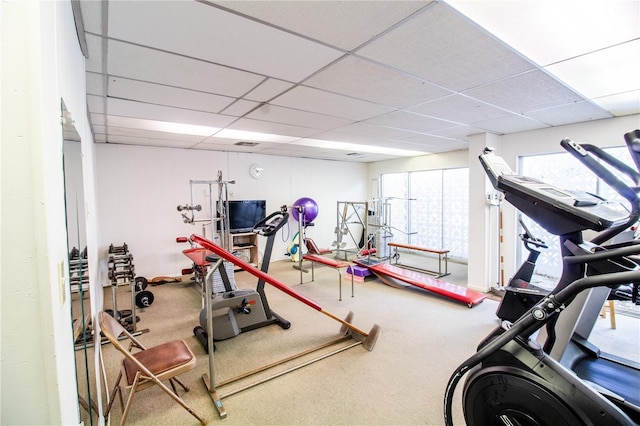 exercise area featuring carpet flooring and a drop ceiling