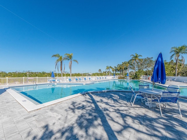 view of pool featuring a patio