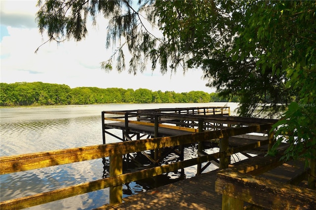 dock area featuring a water view