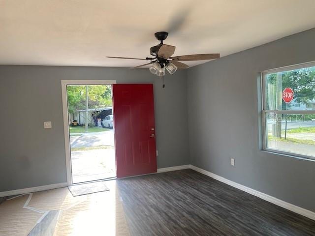 foyer with ceiling fan, dark wood-type flooring, and a wealth of natural light