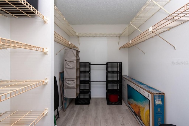 walk in closet featuring hardwood / wood-style flooring