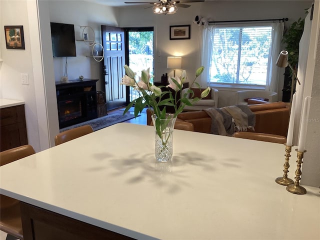 dining area featuring ceiling fan