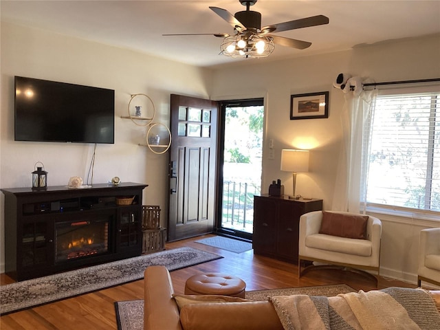 living room with ceiling fan, a healthy amount of sunlight, and wood-type flooring