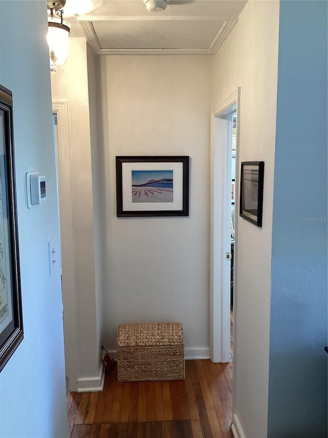 hallway featuring hardwood / wood-style flooring and crown molding