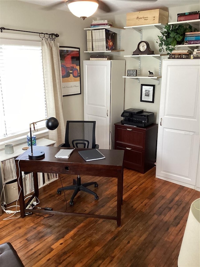 office area featuring dark hardwood / wood-style flooring