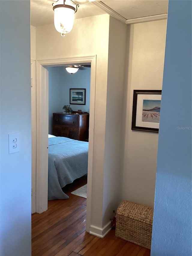 corridor featuring crown molding and dark wood-type flooring