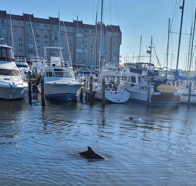 dock area with a water view