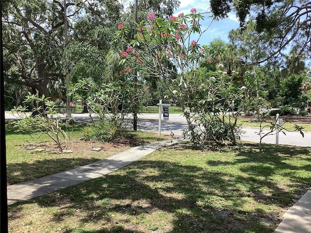 1529 Paloma Ln, Dunedin, FL 34698 - view of home's community featuring a yard