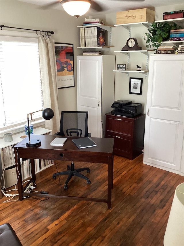 1529 Paloma Ln, Dunedin, FL 34698 - office featuring wood finished floors