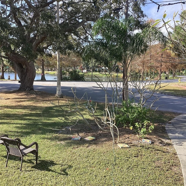 1529 Paloma Ln, Dunedin, FL 34698 - view of home's community with a yard