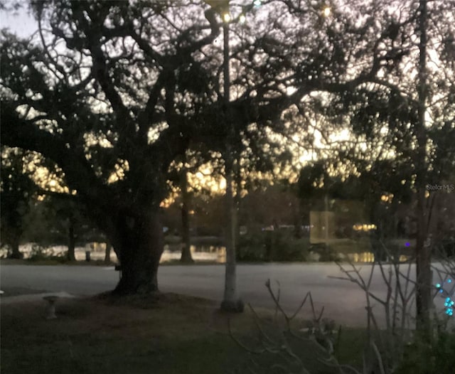 1529 Paloma Ln, Dunedin, FL 34698 - view of property's community