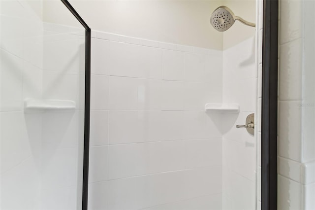 interior details with a stall shower