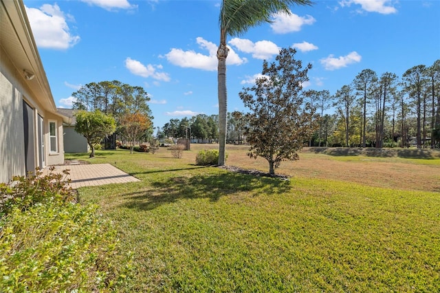 view of yard featuring a patio