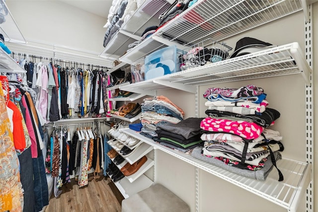 spacious closet with hardwood / wood-style flooring