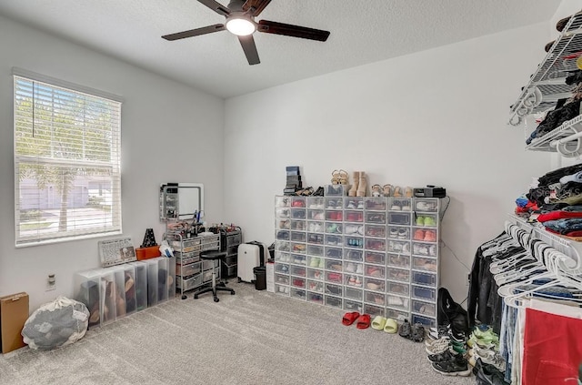 carpeted home office with ceiling fan and a textured ceiling