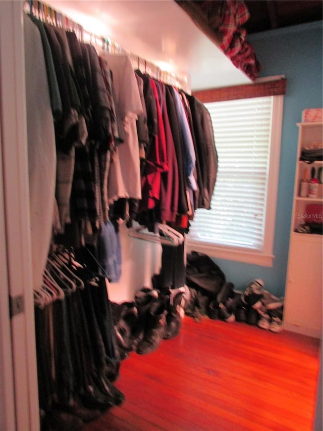 spacious closet featuring hardwood / wood-style flooring