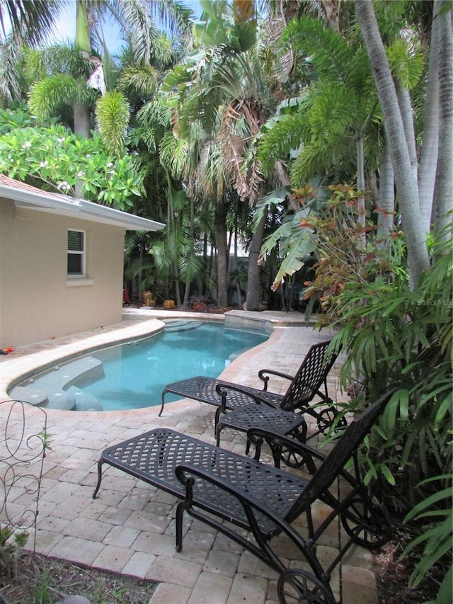 view of pool with a patio