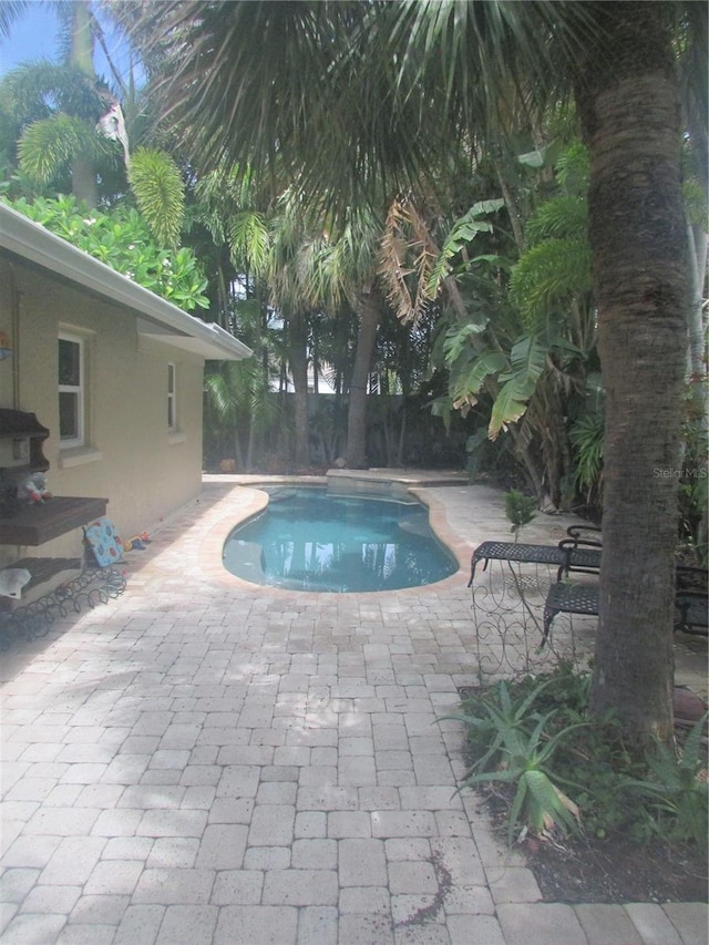 view of swimming pool with a patio area