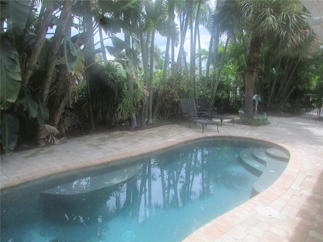 view of swimming pool featuring a patio