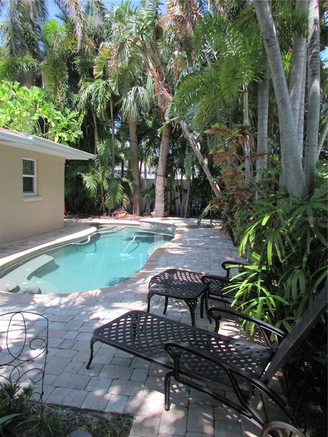 view of swimming pool featuring a patio area